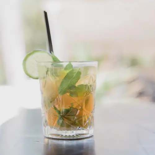 Refreshing mojito with fresh mint