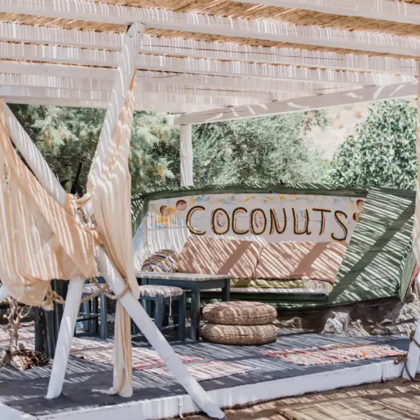 Sunbeds and umbrellas at Coconuts Beach Bar, Apokrousi